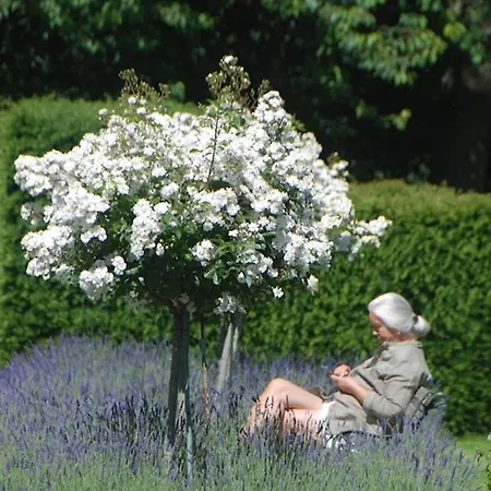 Bed & Breakfast Bergerie De La Moutonnière Le Pin (Calvados)