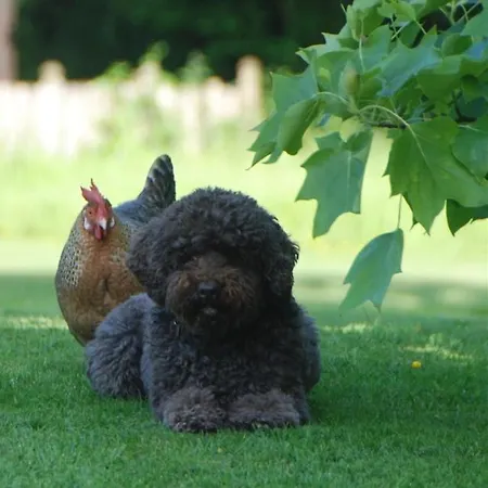 Bergerie De La Moutonnière