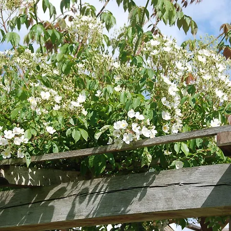 Bed & Breakfast Bergerie De La Moutonniere Le Pin (Calvados)