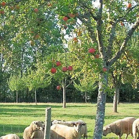 Bergerie De La Moutonniere