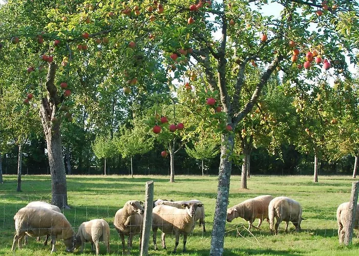 Bergerie De La Moutonniere 4*