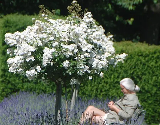 Bed & Breakfast Bergerie De La Moutonniere Le Pin (Calvados)