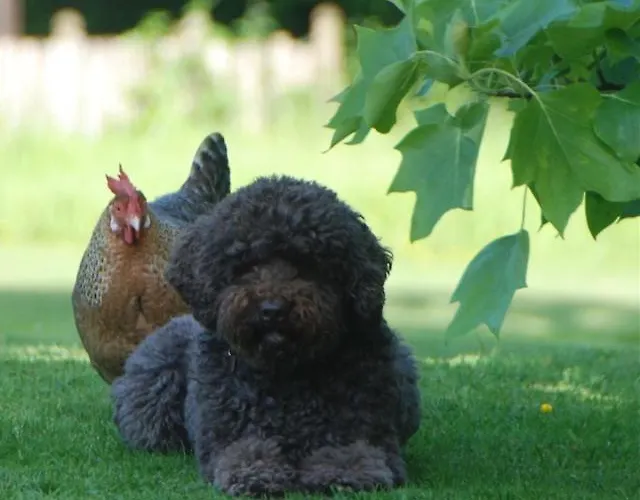 Bergerie De La Moutonniere